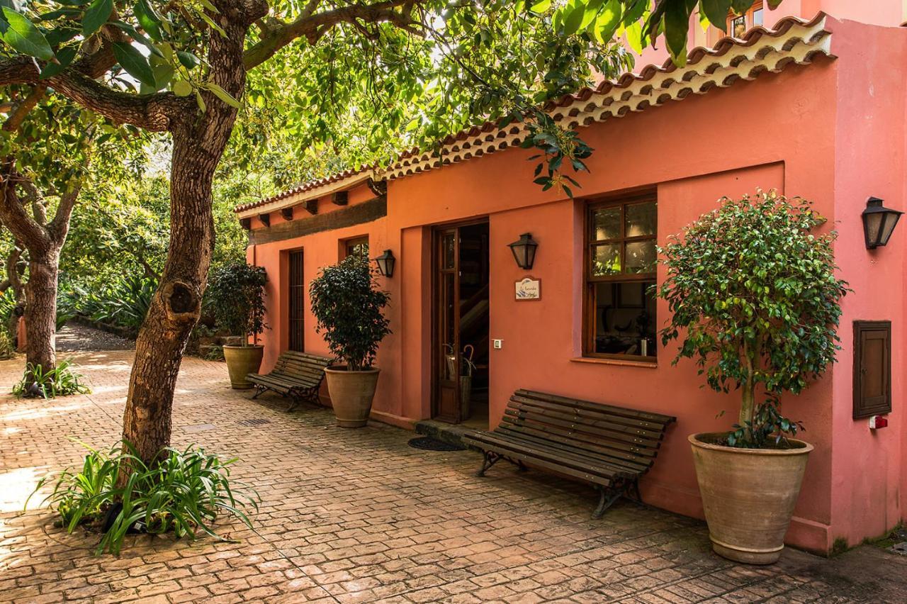 Homeforguest Cosy Rural Flat La Lavanda Surrounded By Nature Tacoronte Exterior foto