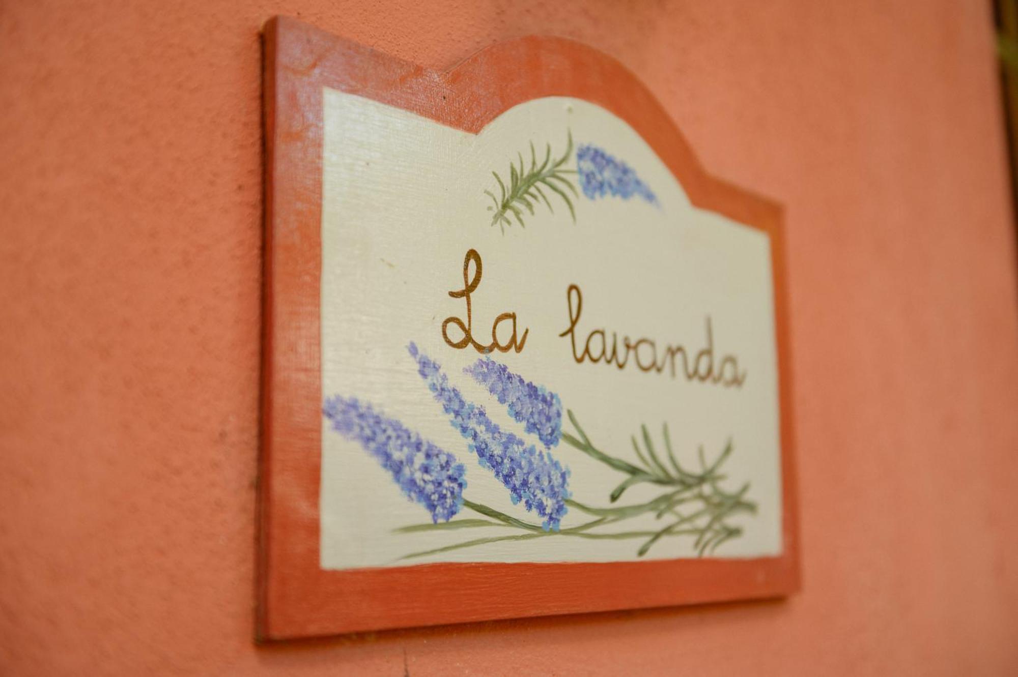 Homeforguest Cosy Rural Flat La Lavanda Surrounded By Nature Tacoronte Exterior foto